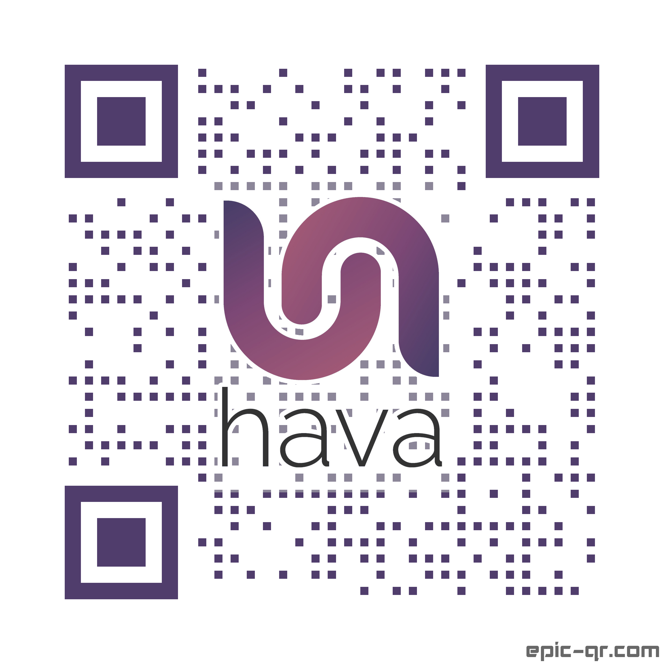 Hava.io Logo QR